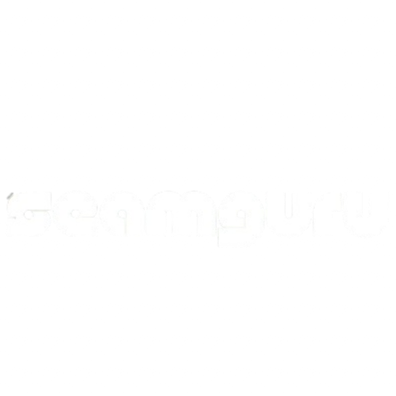 Seamguru